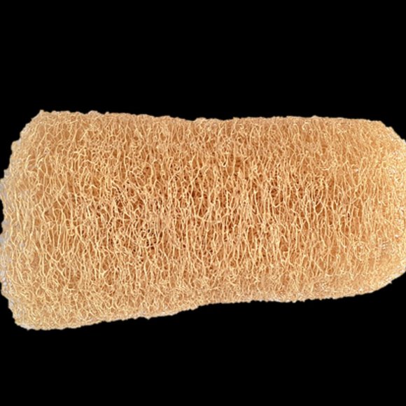 NWT All Natural Loofah